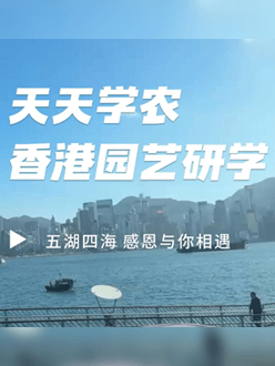 与香港园艺学会联合举办香港园艺研学，专业园境师带队讲解。