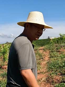 农业人叶涛，50多岁通讯人跨界搞农业，他要用1000万打造一个梦。